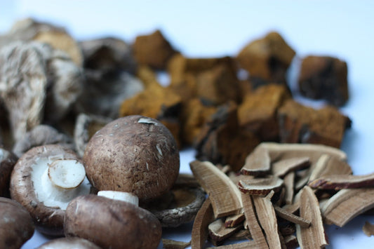 De Medicinale Krachtpatsers: Chaga, Reishi, en Lion's Mane - Een Diepgaande Verkenning